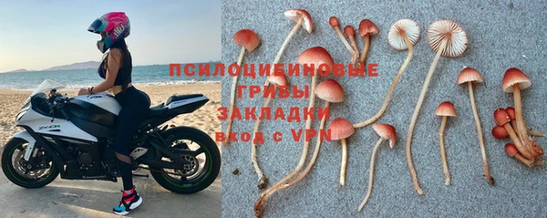 дмт Алексеевка