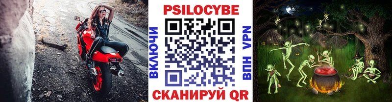 где можно купить наркотик  Ипатово  Псилоцибиновые грибы Magic Shrooms 