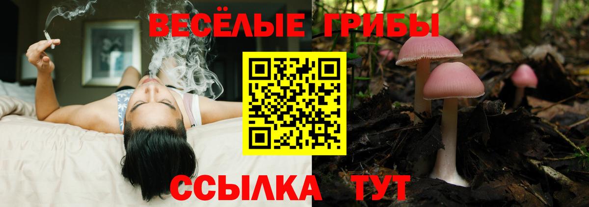Ипатово  Галлюциногенные грибы Magic Shrooms  Вход с VPN 